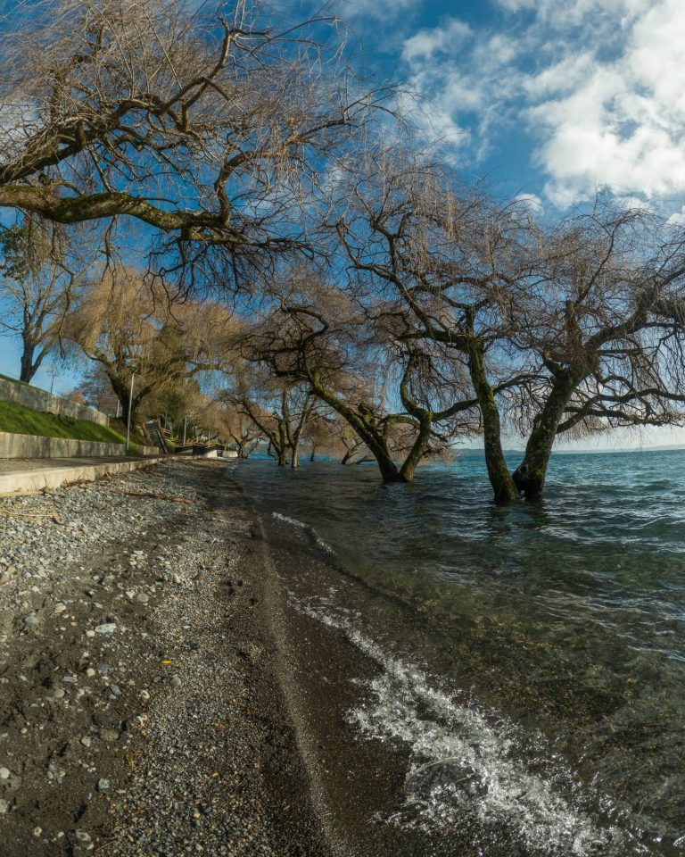 Costanera - Lago Ranco