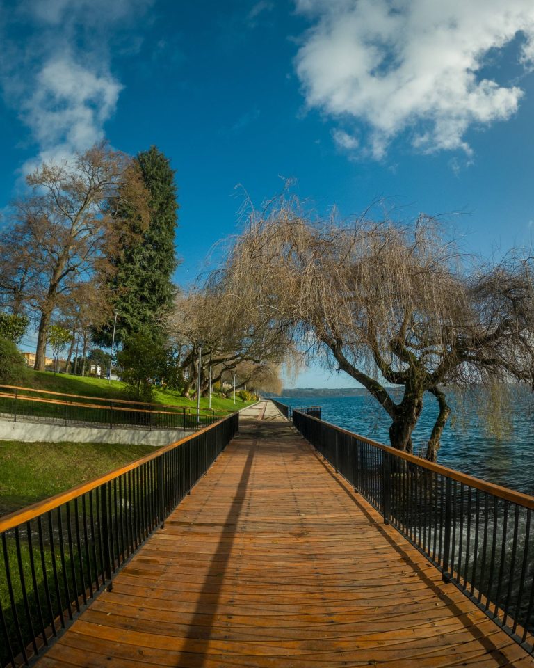 Costanera - Lago Ranco