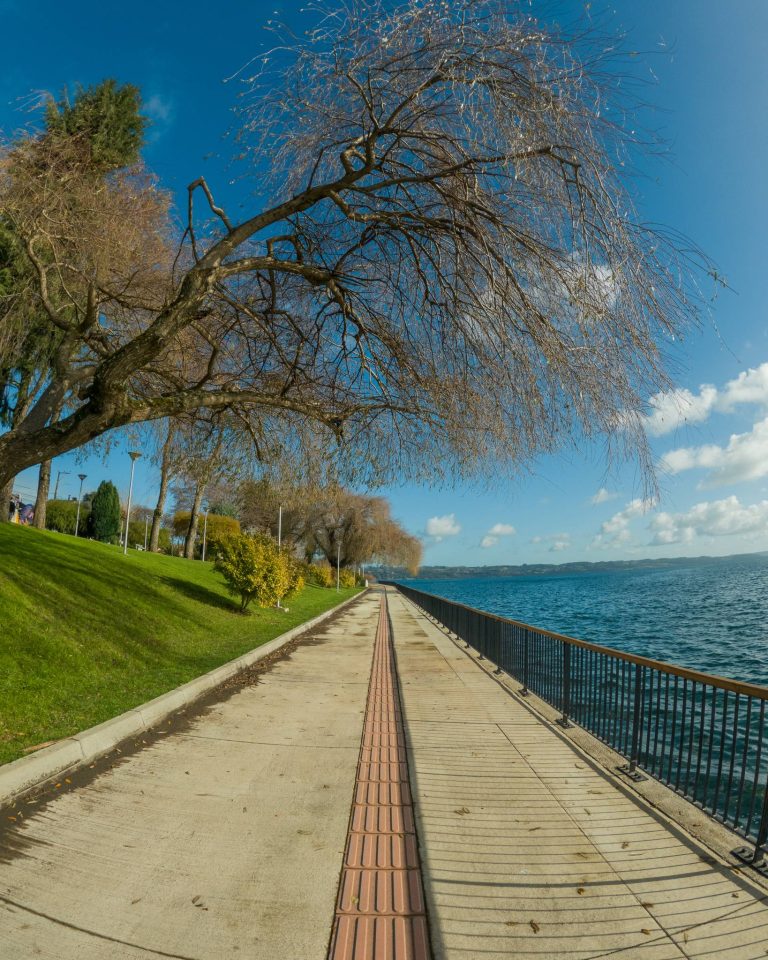 Costanera - Lago Ranco