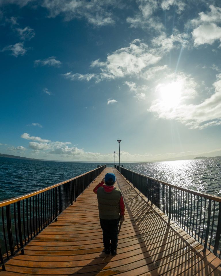 Muelle - Lago Ranco